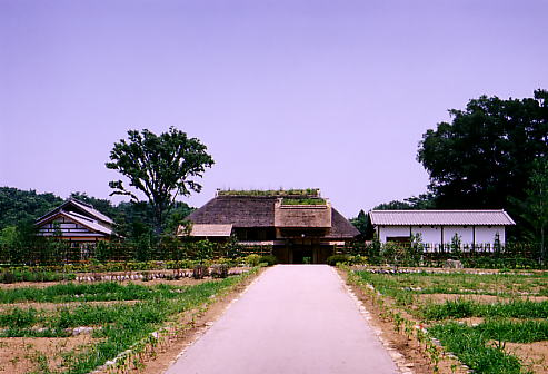 リストの画像